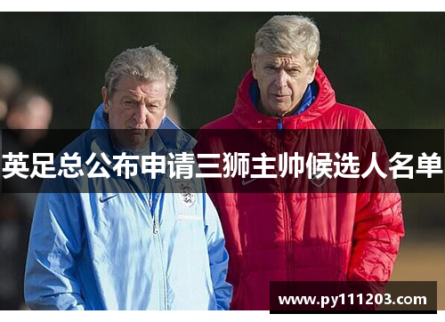 英足总公布申请三狮主帅候选人名单