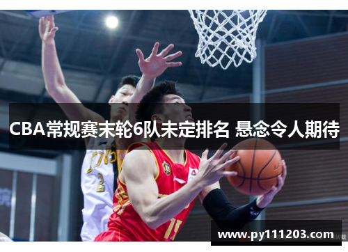CBA常规赛末轮6队未定排名 悬念令人期待 CBA常规赛末轮6队未定排名 悬念令人期待